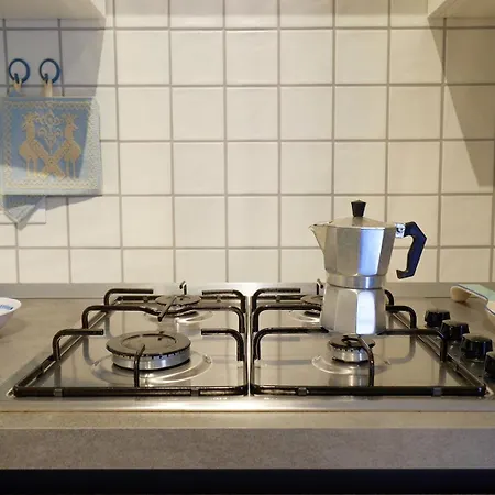 Ma.vi * 特乌拉达